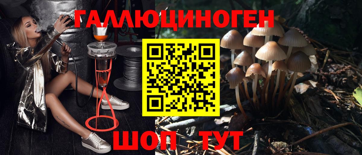 Галлюциногенные грибы GOLDEN TEACHER Заволжье